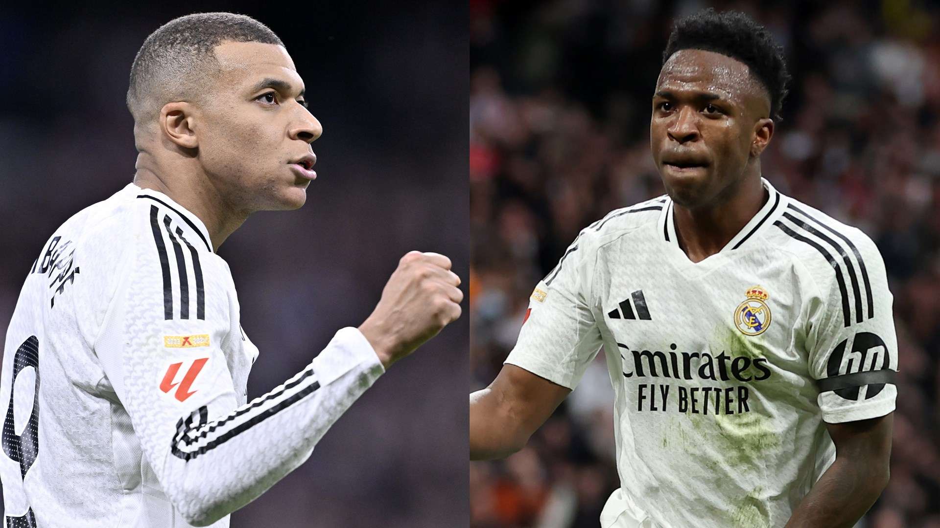 密不透风的 密不透风的