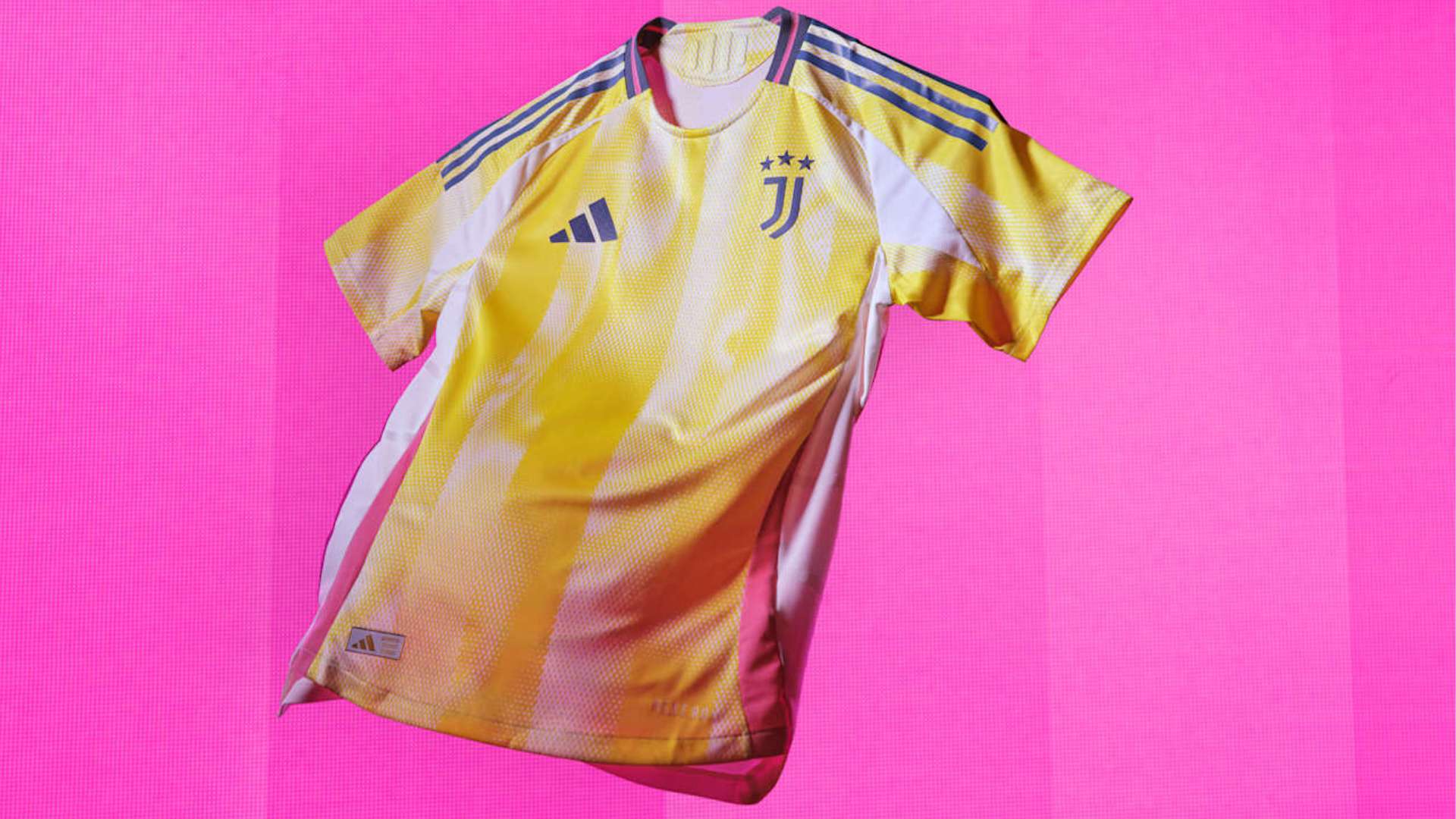 应万变的智 应万变的智